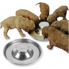 Puppy Saucer Dish Sombrero - bļoda kucēniem