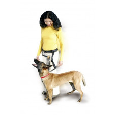 Karlie Flamingo Lind Guide - gurnu siksna komandas "Blakus" apmācībai